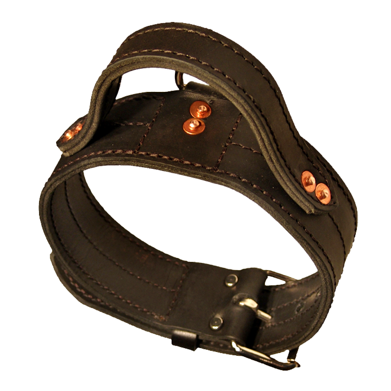 Heavy Leather Collar With Handle