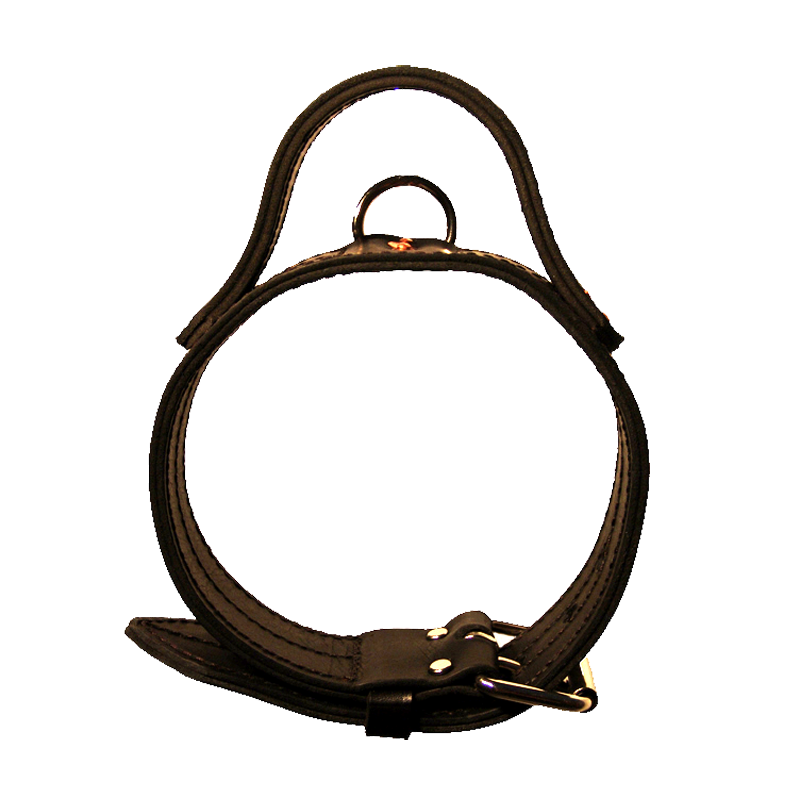 Heavy Leather Collar With Handle